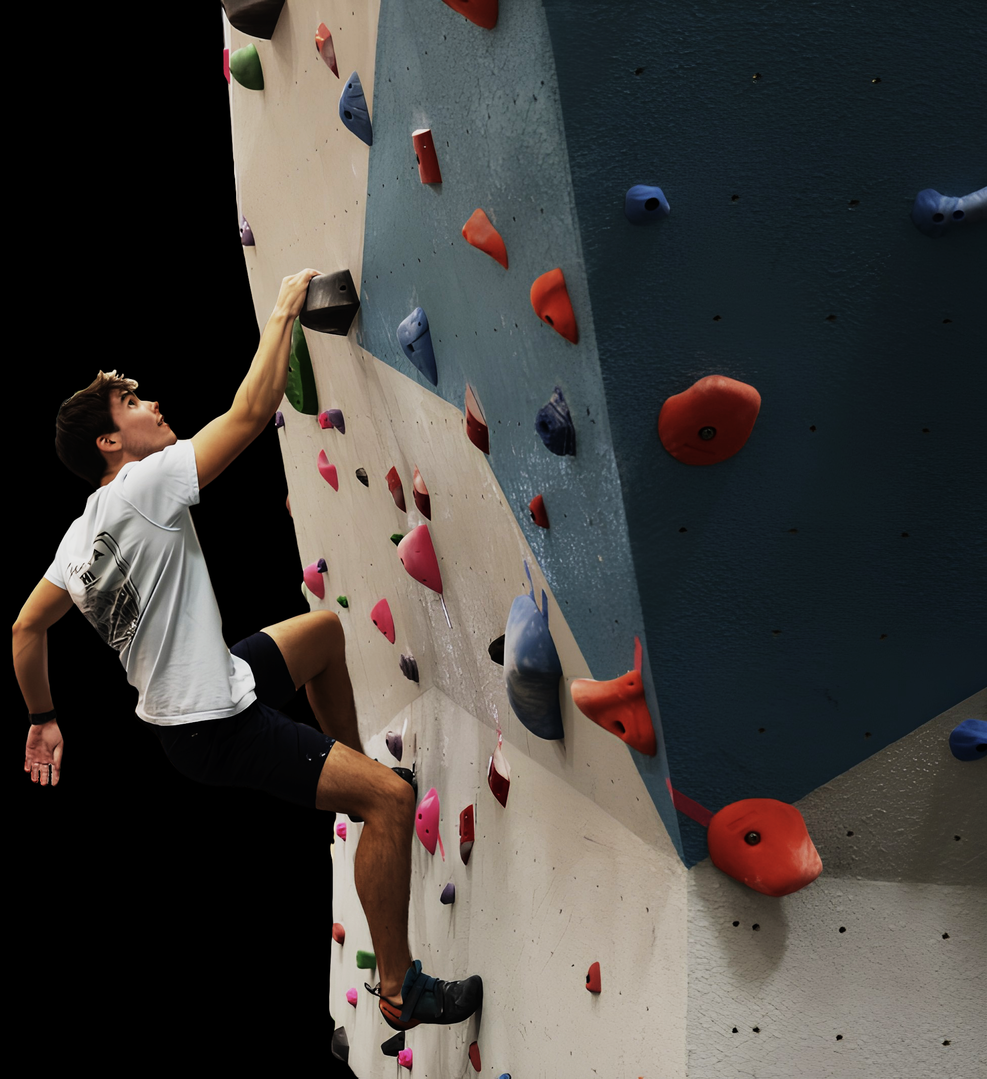 Escalada funcional en Jungle Training